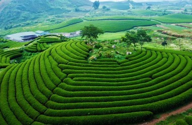 Du lịch Mộc Châu